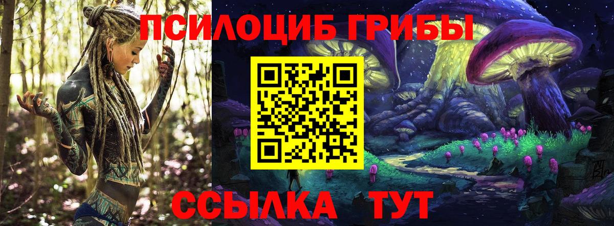 Галлюциногенные грибы Psilocybine cubensis  Вход с VPN  Шарыпово 